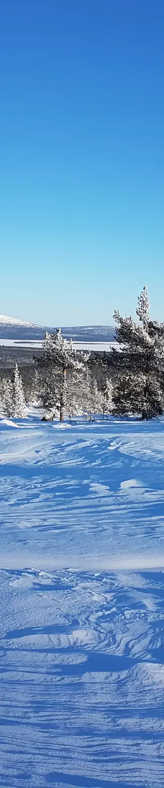 Langlaufen durch den verschneiten Pallas Nationalpark
